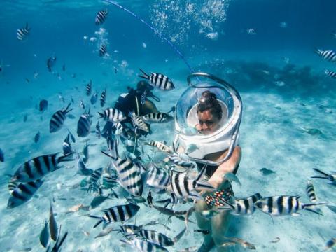diving