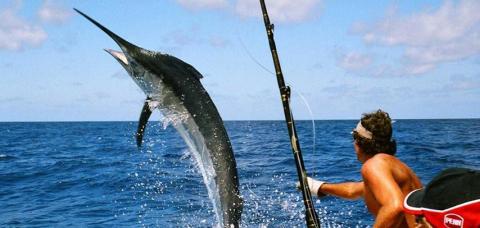 fishing