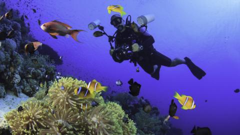 diving