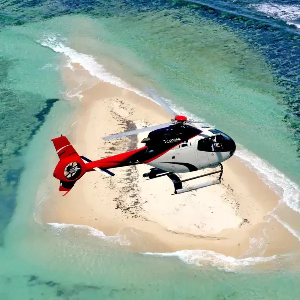 heli1